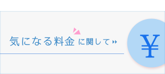 気になる料金に関して